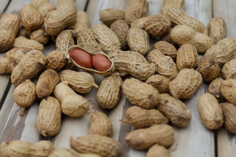 Protein Powerhouses